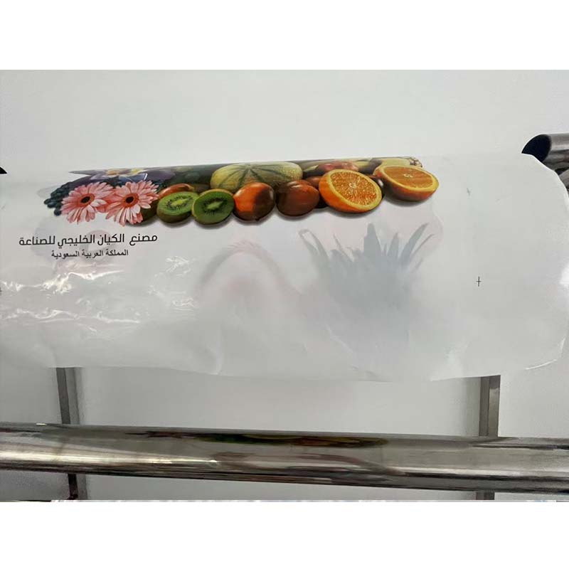 高品質2色フレキソ印刷機（BOPP・PEフィルム・紙対応） - Printer Paper のレビューと価格
